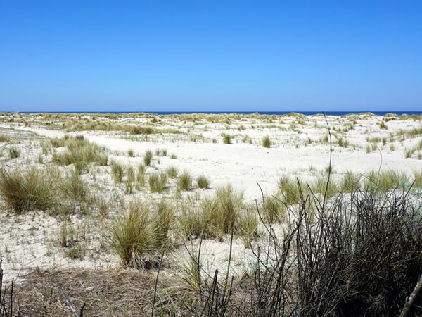 impressionen nordsee 13
