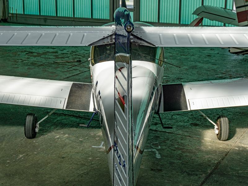 piperpa38 6